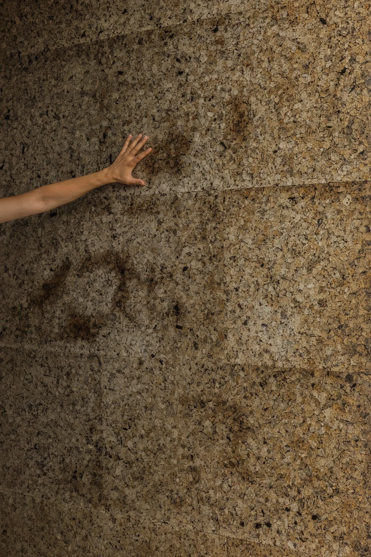 Textura da pedra de revestimento da Casa na Casa Branca, ao alcance da mão.